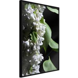 Arkiio Affisch Lilacs Detail [Poster] 20x30 Poster